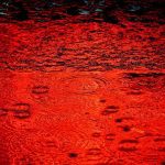 Red Rain in Kerala (India)