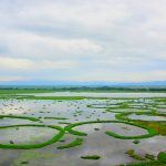 Loktak Fresh Water Lake - Manipur (India)
