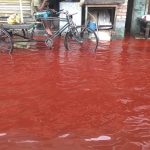 Red Rain in Kerala (India)