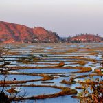 Loktak Fresh Water Lake - Manipur (India)