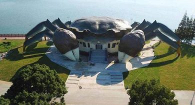 crab-museum-crab-building